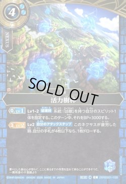 画像1: 活力樹林[BS_26RBS01-108_C]【26RBS01収録】