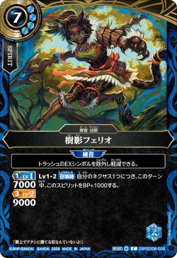 画像1: 樹影フェリオ[BS_26RSD06-008_C]【26RSD06収録】