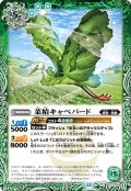 菜精キャベバード[BS_BS72_029_C]【BS72収録】