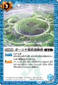 ボーニヤ環状遺跡群[BS_BS72_074_C]【BS72収録】