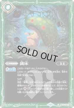 画像1: 菌床[BS_BS73-T001_C]【BS73収録】