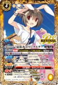 [夏休み]トリックスター[BS_BSC43-RV009_R]【BSC43収録】