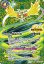 画像1: 【SECRET】風蟲円舞/ドルクス・ウシワカ・オリジン[BS_BSC47-RVTX03]【BSC47収録】 (1)