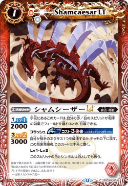 画像1: シャムシーザーLT[BS_BSC49-001_C]【BSC49収録】