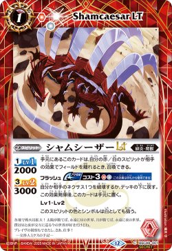 画像1: 【SECRET】シャムシーザーLT[BS_BSC49-001_C]【BSC49収録】