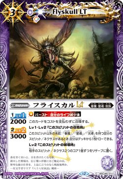 画像1: フライスカルLT[BS_BSC49-011_C]【BSC49収録】