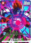 【パラレル仕様】合体人造人間13号[DBF_FB06-002_SR]