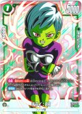 【パラレル仕様】チライ：BR[DBF_FB06-055_SR]