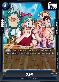 画像1: ブルマ[DBF_FB06-035_C]