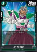 パラガス：BR[DBF_FB06-058_C]