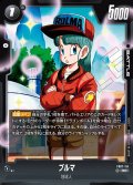 ブルマ[DBF_FB07-114_SR]
