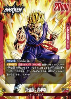 画像2: 孫悟飯：青年期[DBF_FB08-001_L]