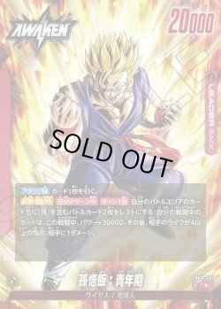 画像2: 孫悟飯：青年期[DBF_FB08-001_L]