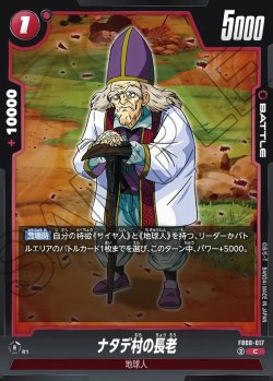 画像1: ナタデ村の長老[DBF_FB08-017_C]