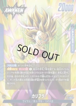 画像2: カリフラ[DBF_FB08-025_L]