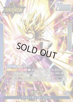 画像1: 【パラレル仕様】カリフラ[DBF_FB08-025_L]