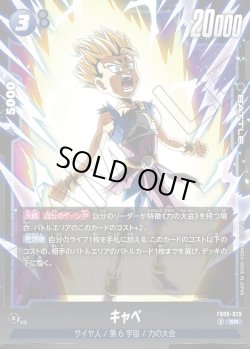 画像1: キャベ[DBF_FB08-029_SR]