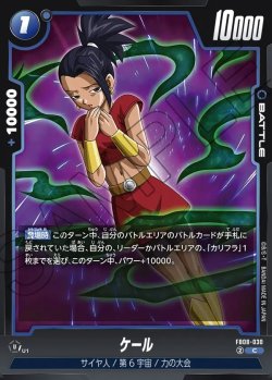 画像1: ケール[DBF_FB08-030_C]