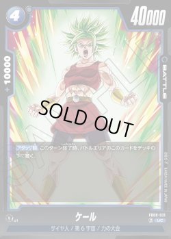 画像1: ケール[DBF_FB08-031_UC]