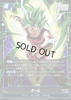 画像1: ケール[DBF_FB08-032_SR]