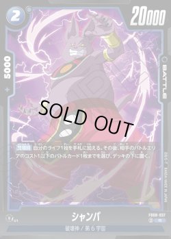 画像1: シャンパ[DBF_FB08-037_R]