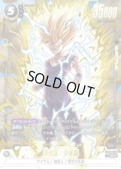 画像1: 【パラレル仕様】孫悟飯：少年期[DBF_FB08-106_SR]