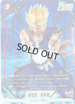 画像1: 【パラレル仕様】孫悟飯：青年期[DBF_FB08-012_SR]