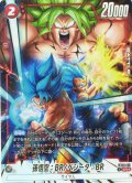 【パラレル仕様】孫悟空：BR/ベジータ：BR[DBF_FB09-011_SR]