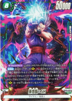 画像1: 【パラレル仕様】孫悟飯：SH[DBF_FB09-060_SR]