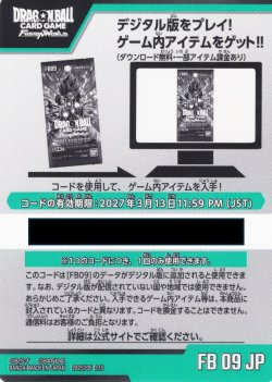 画像1: デジタルコード 「DUAL EVOLUTION」(有効期限2027/03/13)[DBF_FB09]