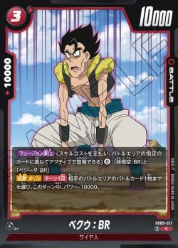 画像1: ベクウ：BR[DBF_FB09-017_C]