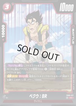 画像1: ベクウ：BR[DBF_FB09-017_C]