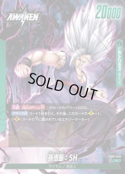 画像2: 孫悟飯：SH[DBF_FB09-049_L]