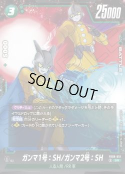 画像1: ガンマ1号：SH/ガンマ2号：SH[DBF_FB09-051_SR]