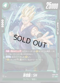 画像1: 孫悟飯：SH[DBF_FB09-058_UC]