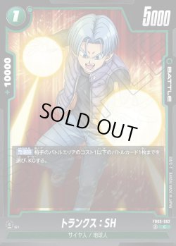 画像1: トランクス：SH[DBF_FB09-062_C]