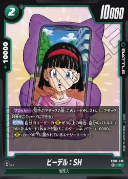 画像1: ビーデル：SH[DBF_FB09-065_C]