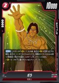 ボラ[DBF_FB10-018_C]