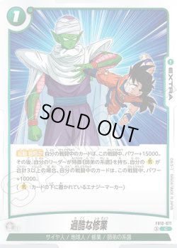 画像1: 過酷な修業[DBF_FB10-071_C]