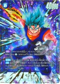 【パラレル仕様】 ベジット[DBF_FB10-121_SCR]