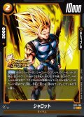 シャロット[DBF_FB11-086_R]