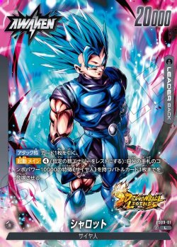 画像2: シャロット[DBF_FS09-001_L]