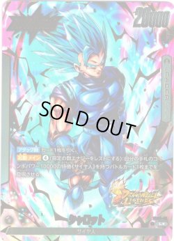 画像1: 【パラレル仕様】シャロット[DBF_FS09-001_L]