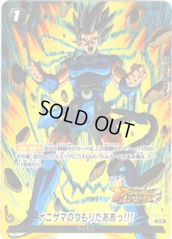 画像1: 【パラレル仕様】ナニサマのつもりだああっ!!![DBF_FS09-018_C]