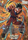 【パラレル仕様】孫悟飯：青年期[DBF_FS11-09 _SR]