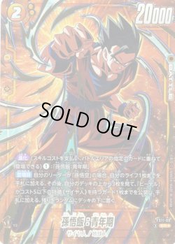 画像1: 【パラレル仕様】孫悟飯：青年期[DBF_FS11-09 _SR]