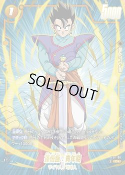 画像1: 【パラレル仕様】孫悟飯：青年期[DBF_FS11-08 _C]