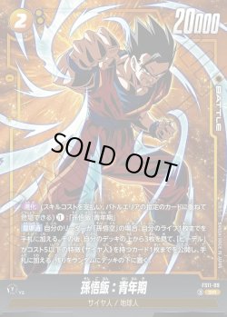 画像1: 孫悟飯：青年期[DBF_FS11-09 _SR]