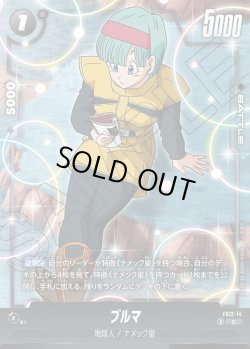 画像1: ブルマ[DBF_FS12-14 _C]