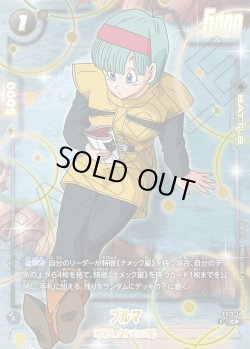 画像1: 【パラレル仕様】ブルマ[DBF_FS12-14 _C]